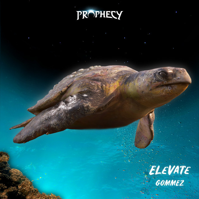 Elevate cover art