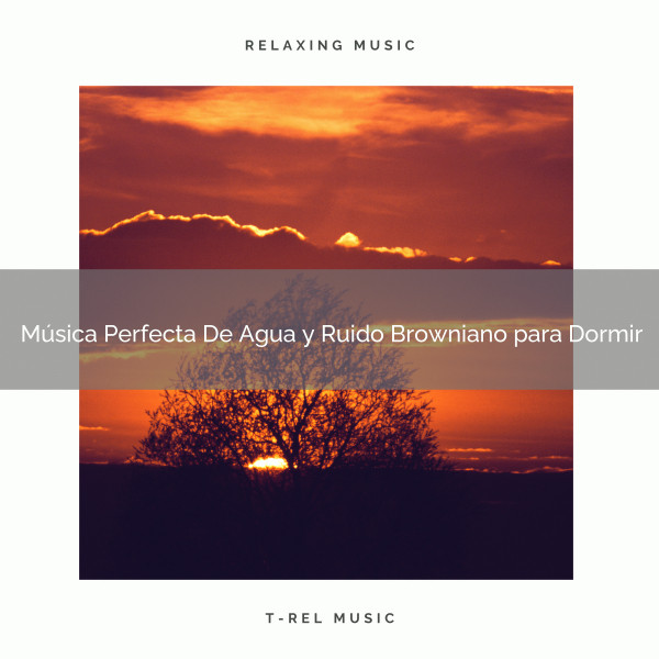 Música Perfecta De Agua y Ruido Browniano para Dormir cover art