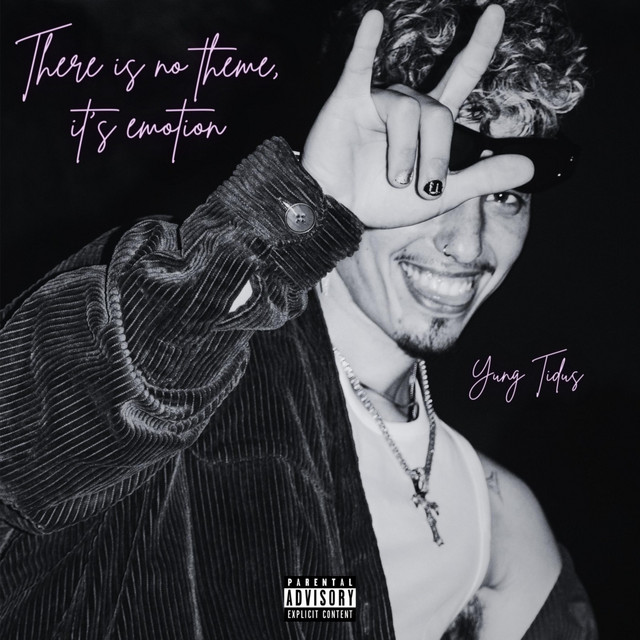 There is no theme, it´s emotion cover art