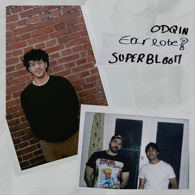 Cover du titre Superbloom