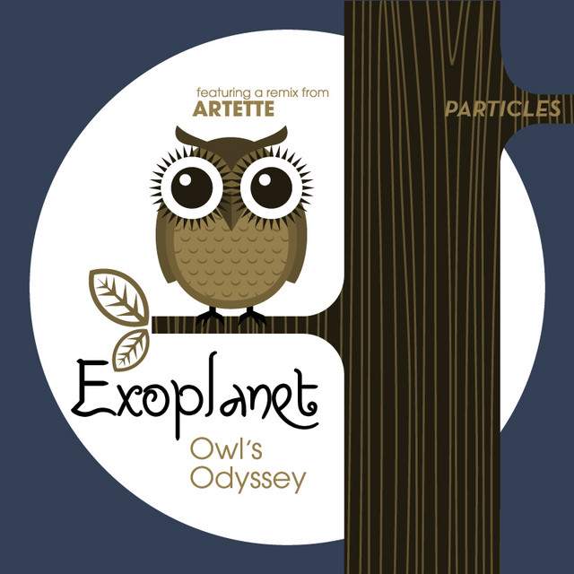 Flight Of The Outcast Owl - Artette Remix cover art