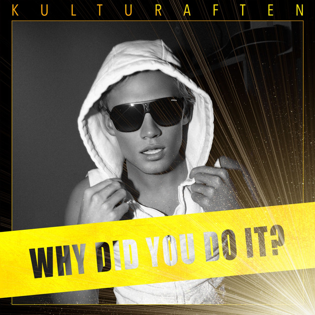 Why did you do it? (Frelst) cover art