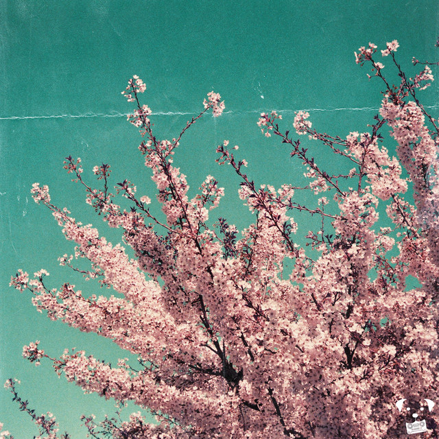 Soñando cover art