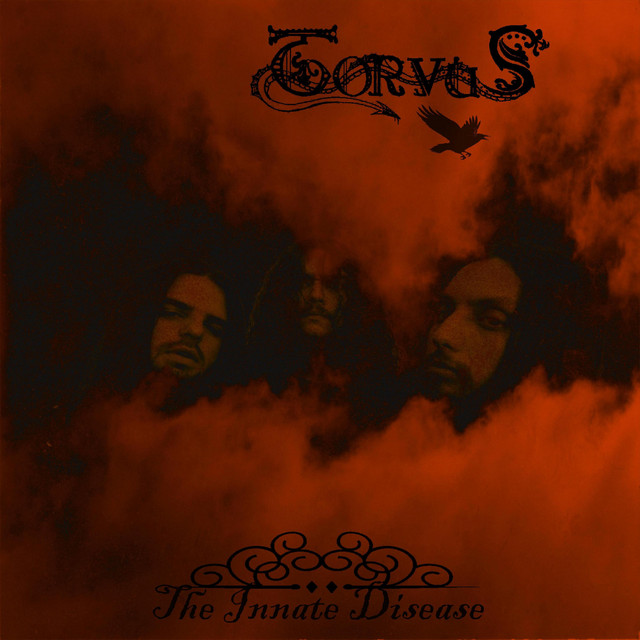Torvus photo
