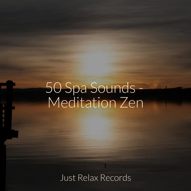 50 Spa Sounds - Meditation Zen - Album by Nature Sounds Nature Music ...