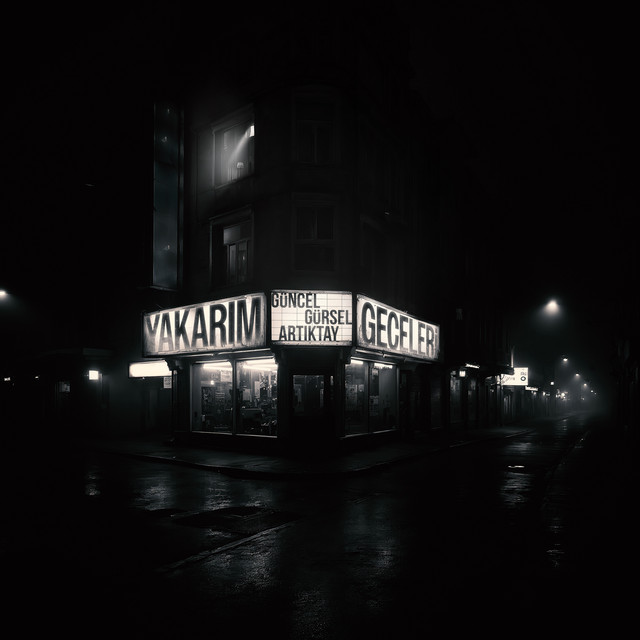 undefined album image