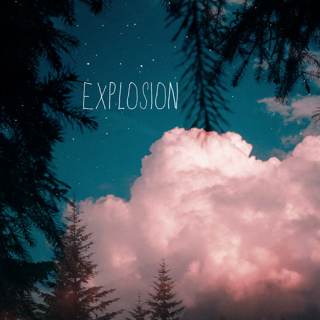Explosion cover