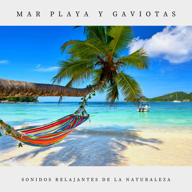 Mar Playa Y Gaviotas cover art