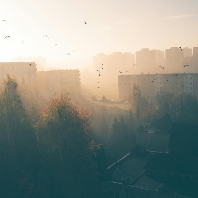 Morningtime