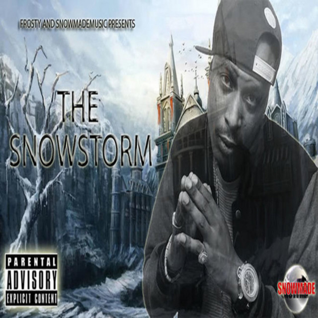 The Snowstorm cover art