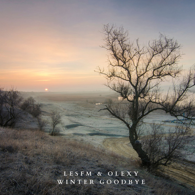 Cover art: Winter Goodbye — Lesfm