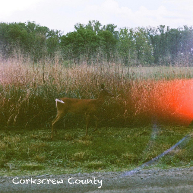 Corkscrew County cover art
