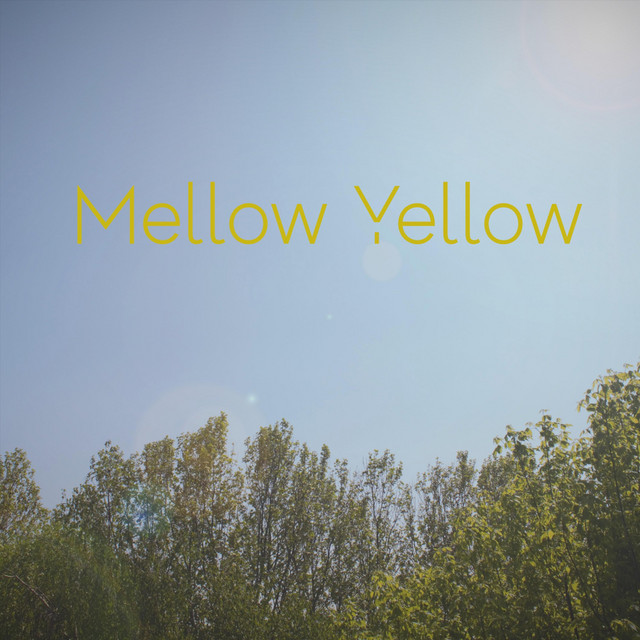 Mellow Breath cover