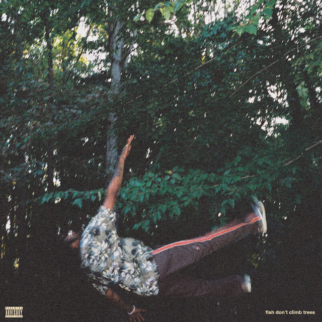 Capa de i feel alive - Chester Watson