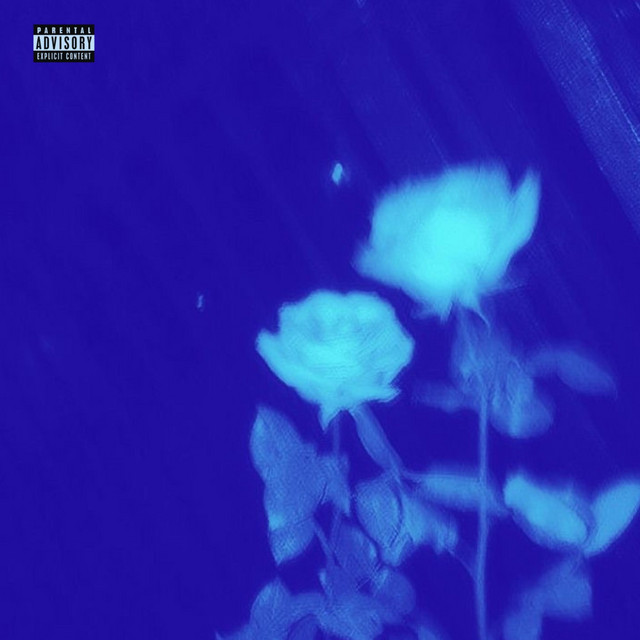 back2u