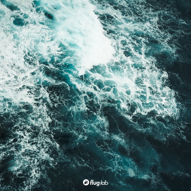 Rosa - Lisandro(AR) Remix cover art