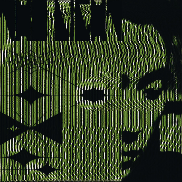 the light cover art