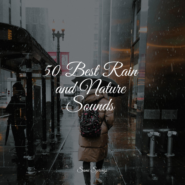 50 Best Rain and Nature Sounds - Album by Internal Yoga | Spotify