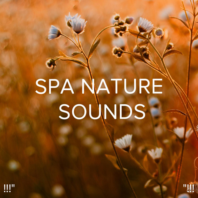 Spa Nature Sounds "!!! - Album by Deep Sleep | Spotify