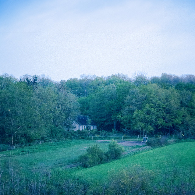 It Is weird to Live cover art