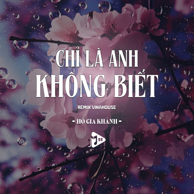 Chỉ Là Anh Không Biết - Remix Vinahouse