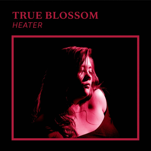 Heater cover art