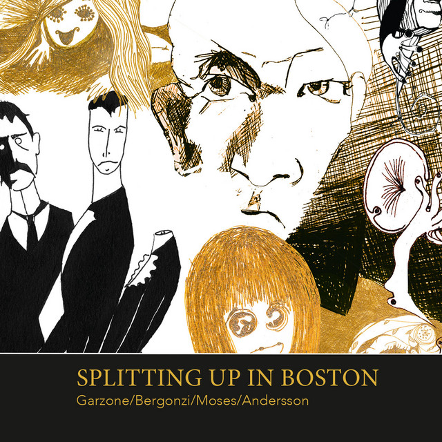 Splitting up in Boston cover art