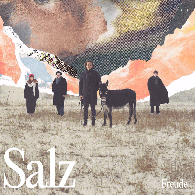Salz cover art