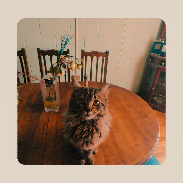 Manifiestos cover art