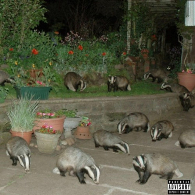 Badgers cover art