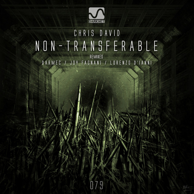 Non-Transferable - Lorenzo D'Ianni Remix album art