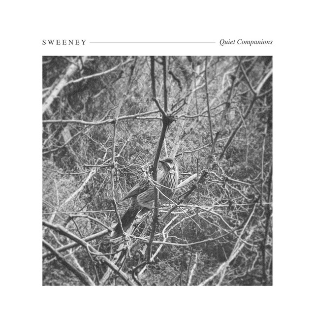 Quiet Companions cover art