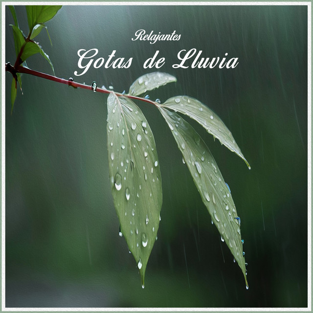 Gotas de Lluvia Relajantes
