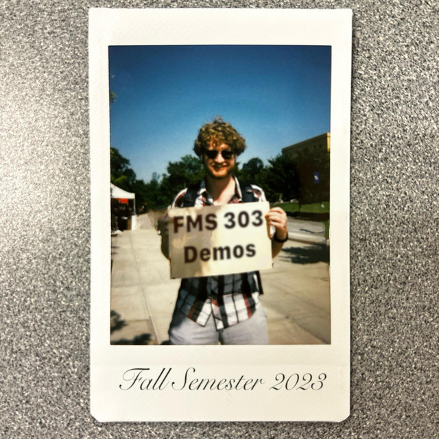 FMS 303 Demos cover art
