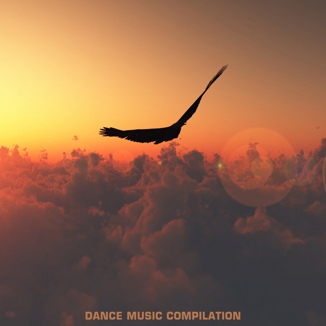 Dance Music Compilation, Vol.1 cover art