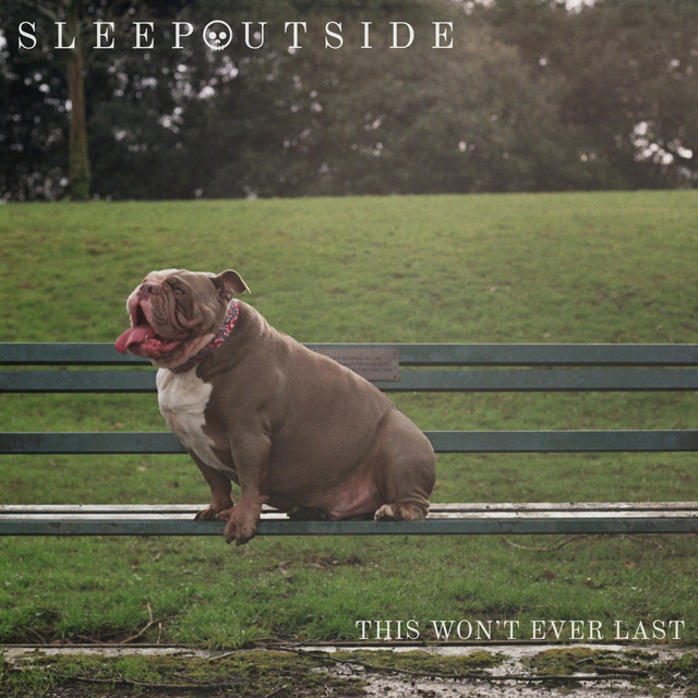 This Won't Ever Last cover art