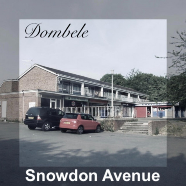 Snowdon Ave cover art