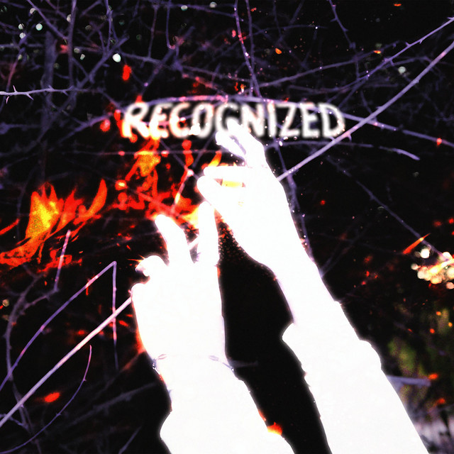 RECOGNIZED cover