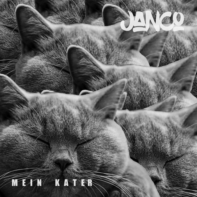 Mein Kater cover