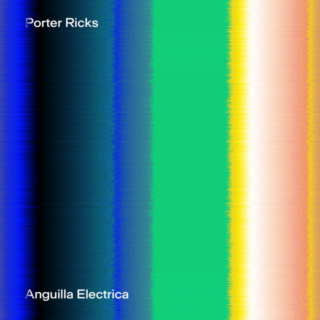 Anguilla Electrica cover art