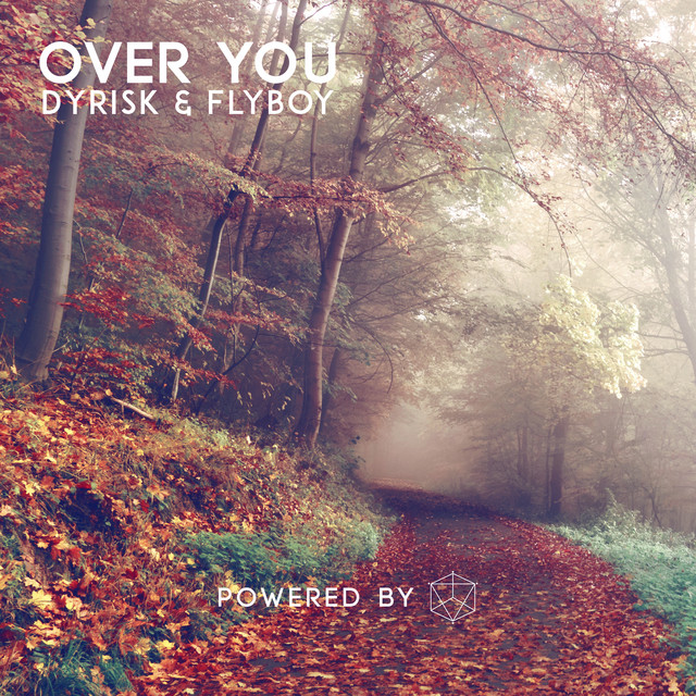 Over You - Dyrisk, Flyboy