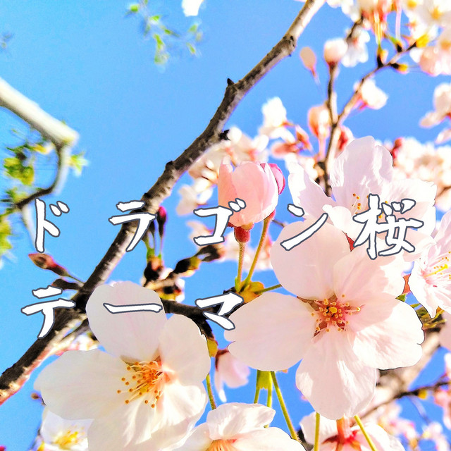 ドラゴン桜 ドラゴン桜