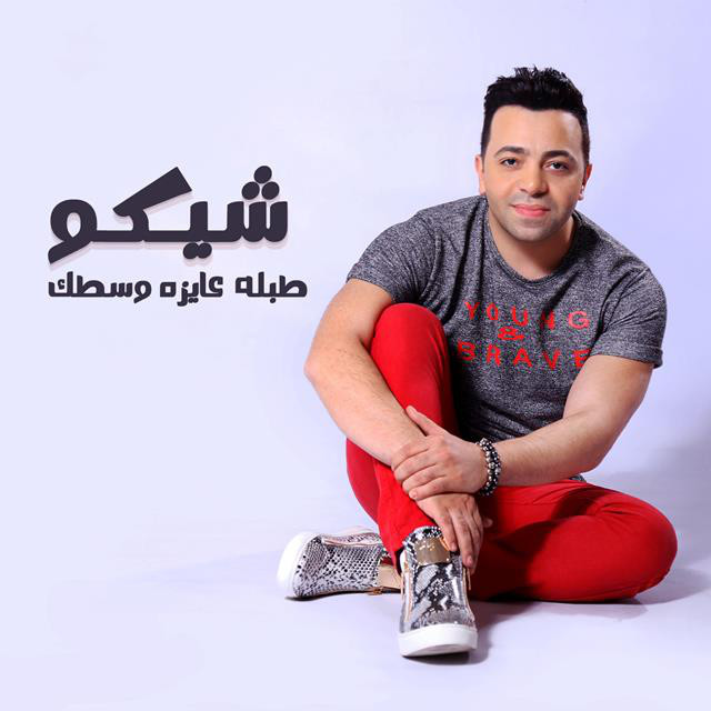 طبله عايزه وسطك cover