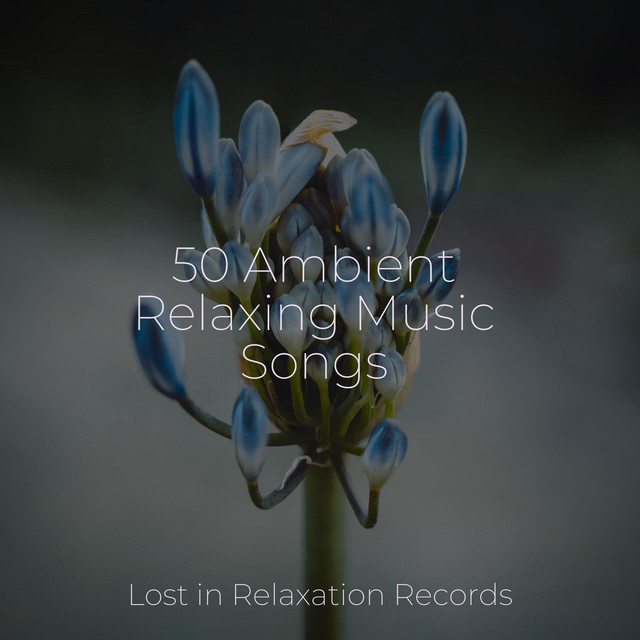 50 Ambient Relaxing Music Songs Album By Ambient Spotify