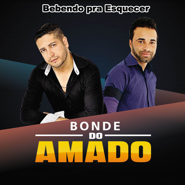 Bebendo pra Esquecer cover art