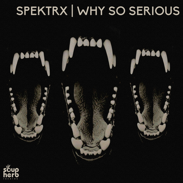 Why So Serious album art