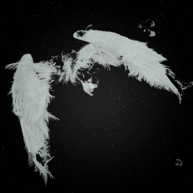 Emo Boy cover art