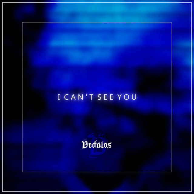 I Can't See You