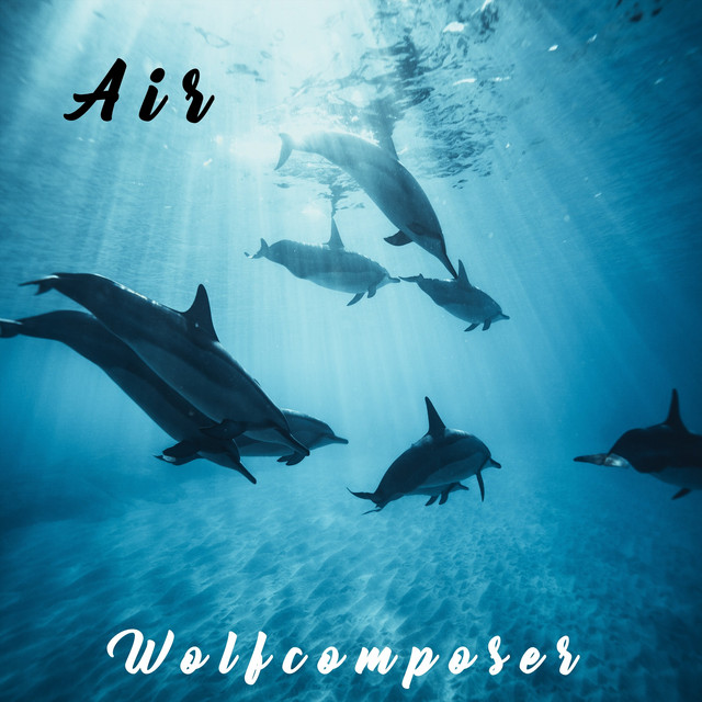 Air cover art