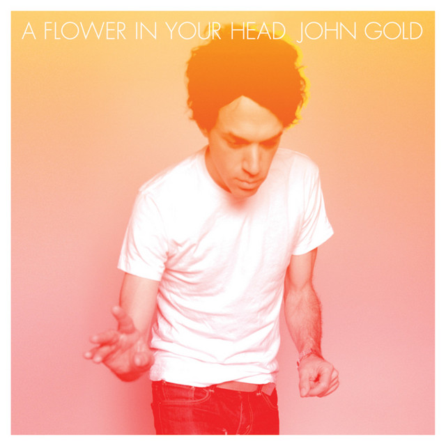 A Flower In Your Head cover art